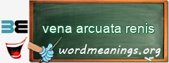 WordMeaning blackboard for vena arcuata renis